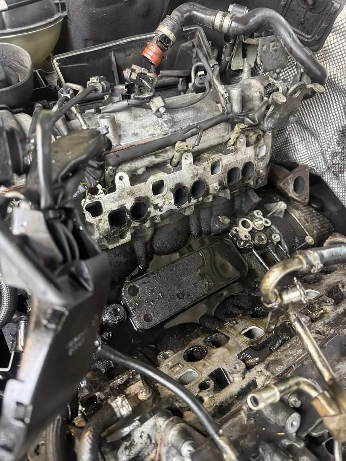 Mercedes OM642 Oil Cooler Seal Replacement